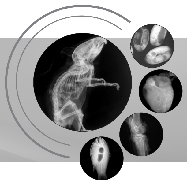 生命科學(xué)研究、小動(dòng)物、種子檢測(cè)